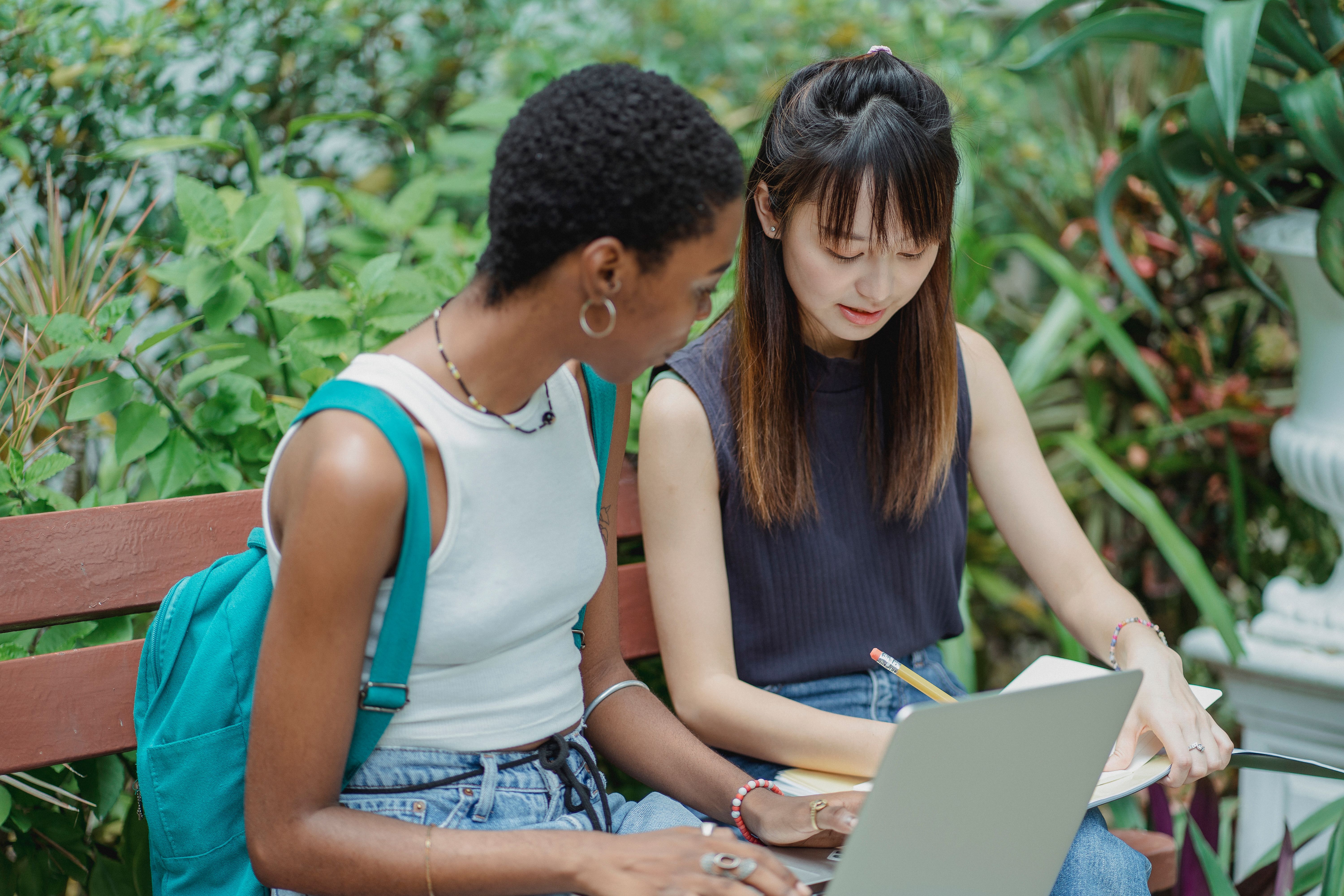 Students studying together